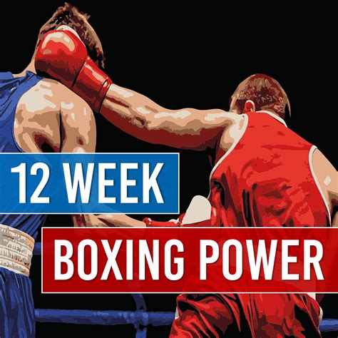 Boxing Training Program 的图像结果