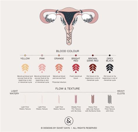 Period blood colors and textures what do they mean – Artofit