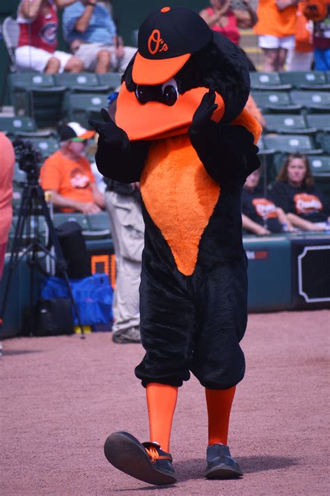 Baltimore Orioles spring training tickets on sale Saturday | Your Observer
