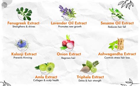 Buy Alopecia Areata Treatment Medicine Kit – Best Natural Solution for ...