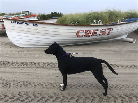 Sea Chest Motel Wildwood Crest