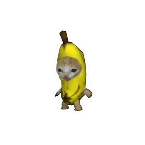 Image result for Cat Writing Python Code