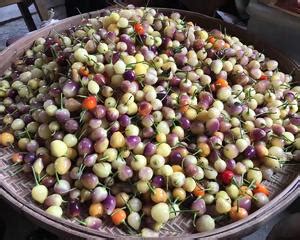 泡菜的起源与发展