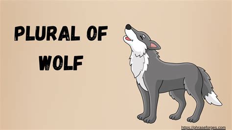 How to Use Wolf Plural (Explained, Examples & Worksheet) - Phrase Forges
