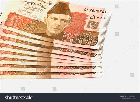 Dollar In Pakistan Rupees at Harrison Grove blog