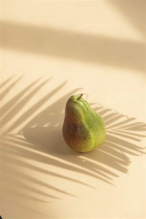 What Is Nopal Good For - nopalwellness.com