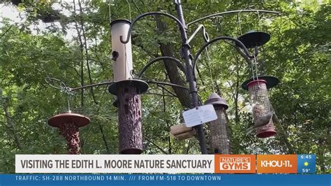 A visit to Edith L. Moore Nature Sanctuary | khou.com