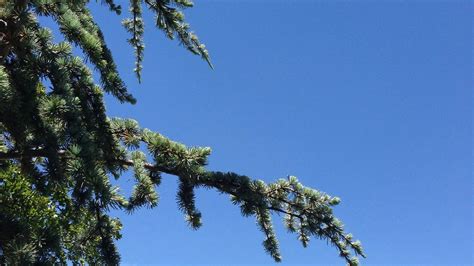 Edmond, OK Weather Forecast, Conditions, and Maps – Yahoo Weather