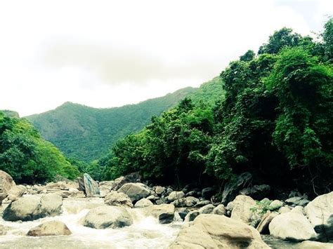 THE 5 BEST Things to Do Near Attappadi Hills (2025) - Tripadvisor