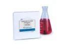 WHATMAN FILTER PAPERS - WHATMAN Qualitative Standard Filter Paper ...