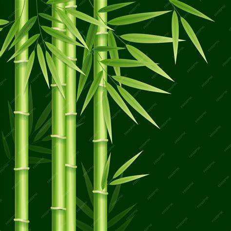 Premium Vector | Realistic 3d detailed bamboo shoots background vector
