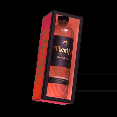 Image result for Modjo Location Map