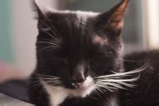 Image result for Full-Stack Python Developer Job Description