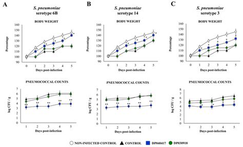 The Respiratory Commensal Bacterium Dolosigranulum pigrum 040417 ...