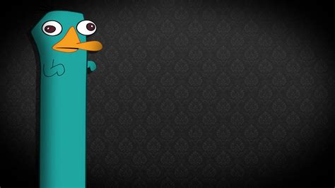 Baby Perry The Platypus Wallpapers - Wallpaper Cave