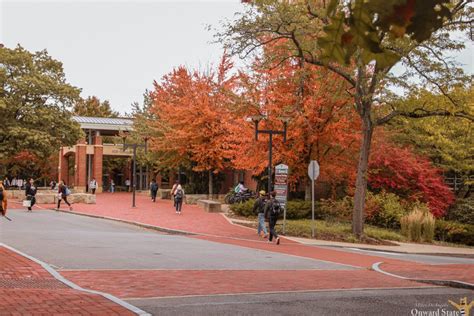 Penn State Reports Small Drop in Overall Enrollment, Increases at ...