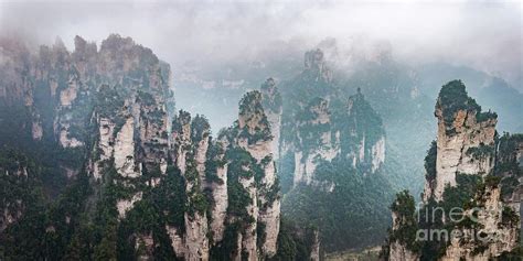 Avatar China 的图像结果