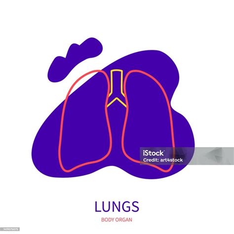 Lungs Respiratory System Body Organ Outline Icon Stock Illustration - Download Image Now ...