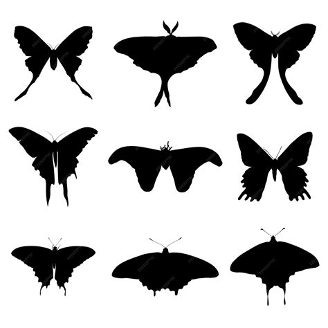 Silhouette Of Butterfly