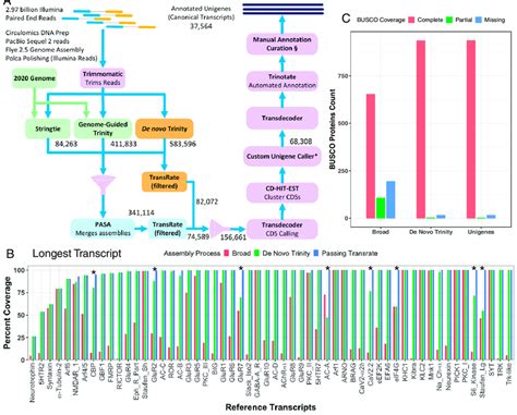 Image result for Transcriptome Assembly