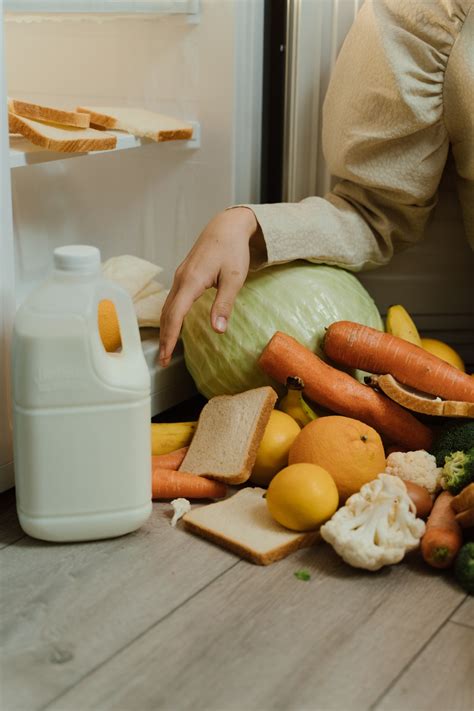 Can Plant Food Expire at Vernon Palacios blog