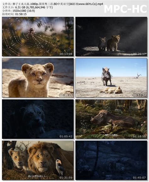 [3D蓝光原盘]狮子王 4K蓝光原盘下载 The Lion King (2019) / 狮子王真狮版 / 狮子王真实版 / 狮子王真人版 ...