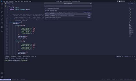 Visual Studio Code Python Code Runner Configuration 的图像结果