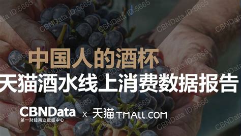 2020年轻人群酒水消费洞察报告.pdf | 先导研报