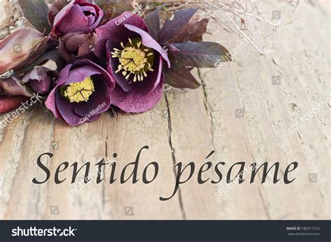 My Condolences In Spanish