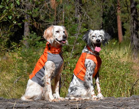 Best Upland Dog Hunting Vest at Joel Gsell blog