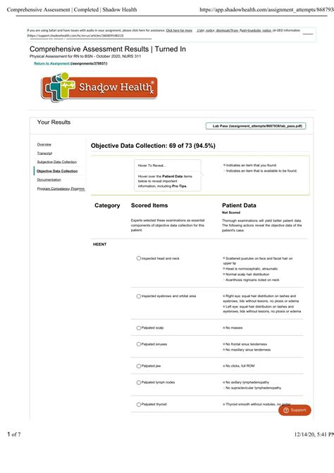 Objective data collection Comprehensive Assessment Completed Shadow ...