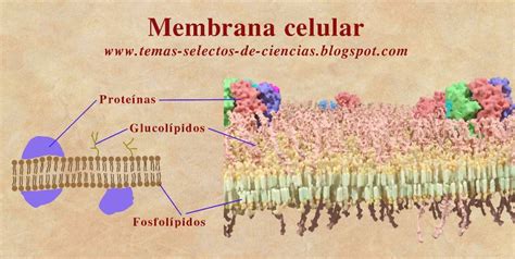 Image result for Informational Data Example