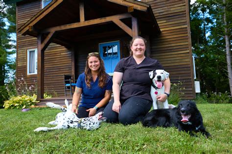Our Veterinary Team in Addison County, VT | Addison County Mobile ...