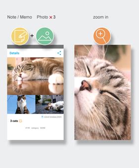 Image result for How to Use Notebook App