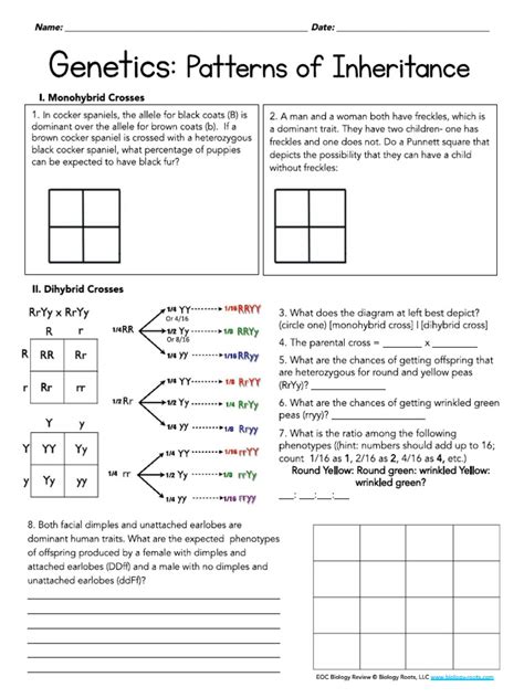 Image result for Patterns of Genetic Inheritance