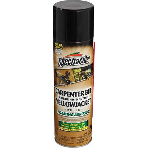 Spectracide 16 Oz. Aerosol Spray Carpenter Bee & Yellow Jacket Killer ...