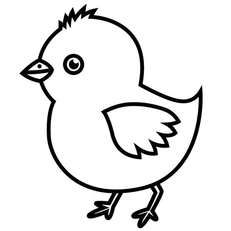 black and white outline of a small chicken. hatched chicken chick. 17637516 Vector Art at Vecteezy