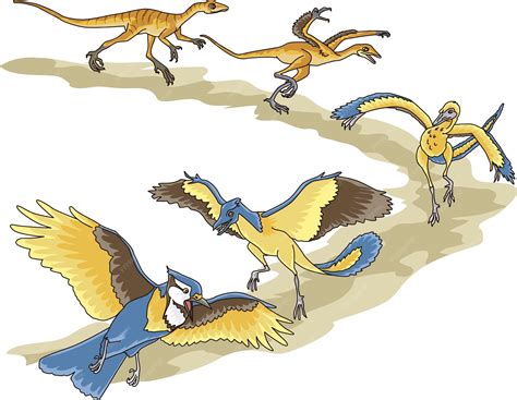 Image result for Evolution Vector