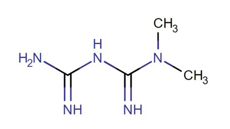 Metformin in Diabetes Type II: responders vs non-responders ...