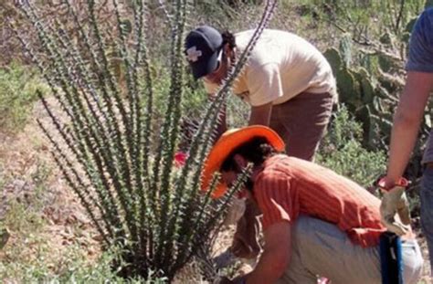 12 Alternative Break Trips for College Students