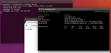 Python Flask Full-Stack 的图像结果