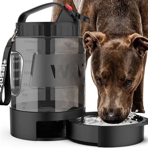 Dog Travel Water Bowl Car at Sam Moonlight blog