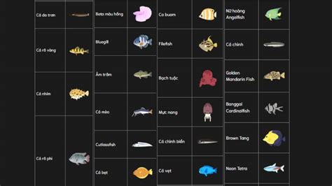 Image result for Java SE Version