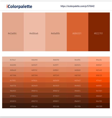 Sand Color 的图像结果