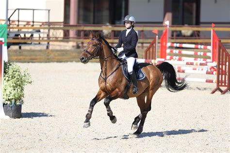 Livery and Boarding:Monthly - Kings Equestrian