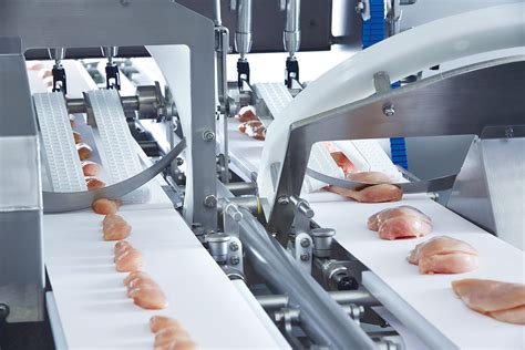 Chicken Processing Machines 的图像结果