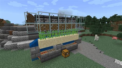 Image result for Minecraft Sugarcane Farm Tutorial
