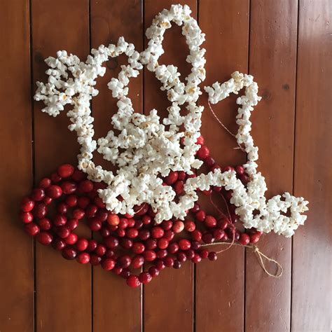 Birdseed Ornaments and Popcorn & Cranberry Garland — Hooray for Rain!