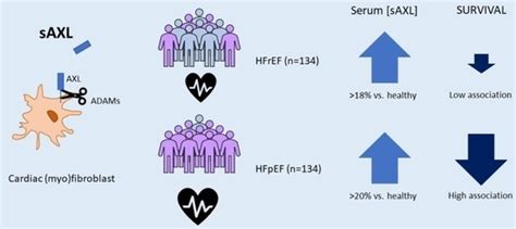 Prognostic Value of Soluble AXL in Serum from Heart Failure Patients ...