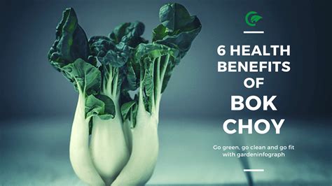6 health benefits of bok choy - Garden infograph